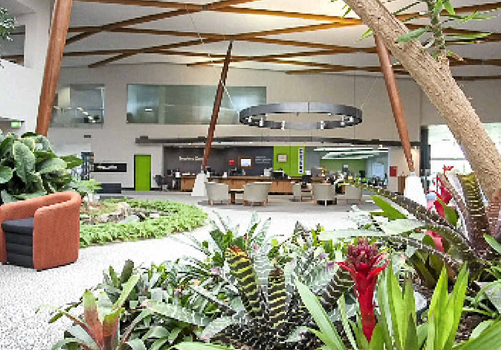 The garden style open library at USQ Ipswich. The garden style open library at USQ Ipswich.